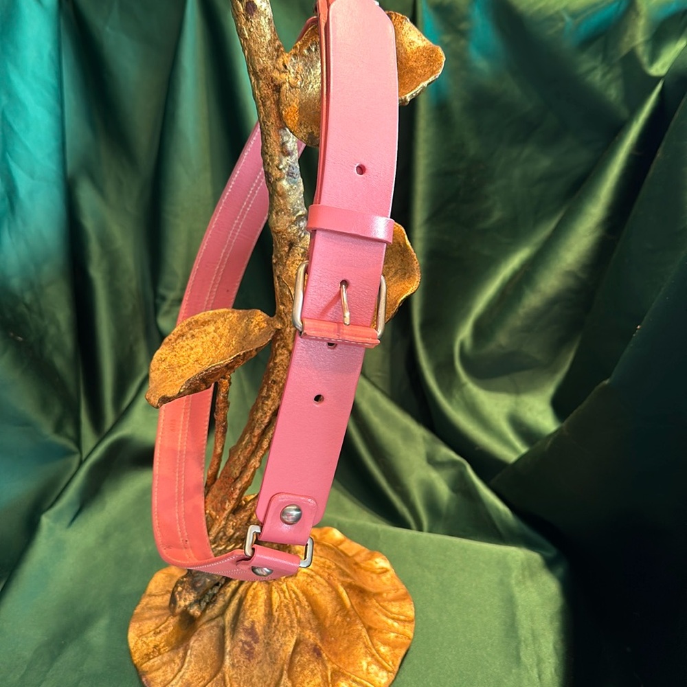 Talbot’s leather belt in size medium. Ballet pink.